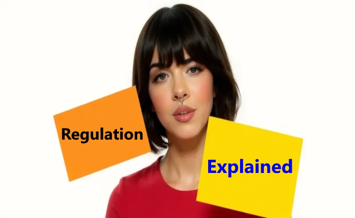 Regulation in Forex: Top Regulatory Bodies Explained